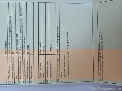 Yamaha TDM Service gepflegt