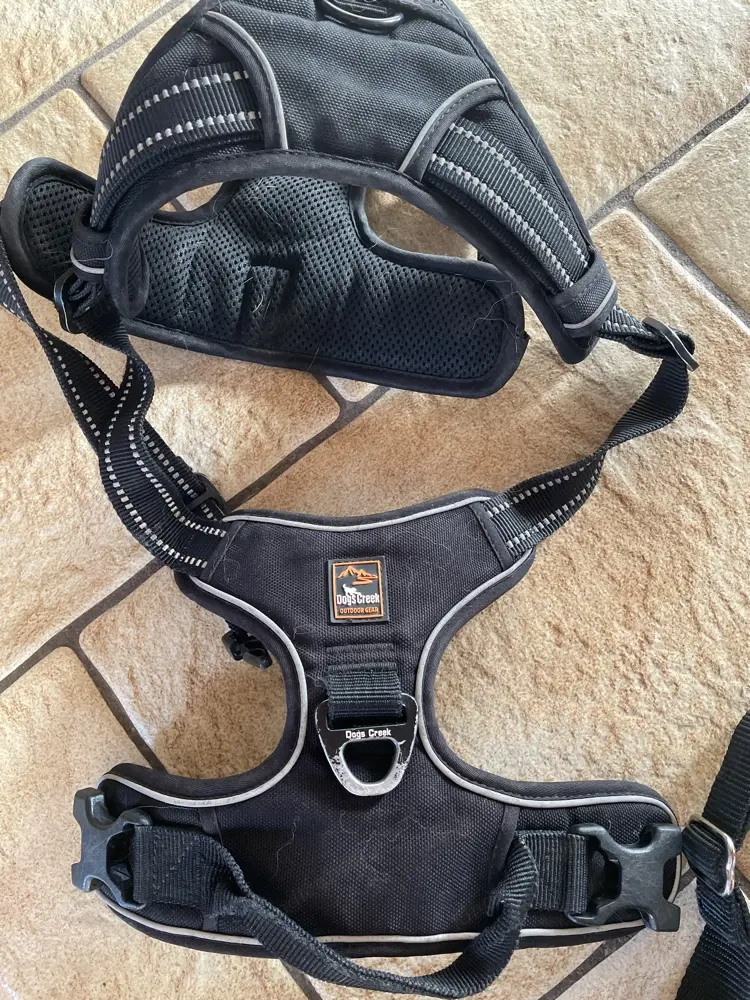 Hund Geschirr, Halti etc