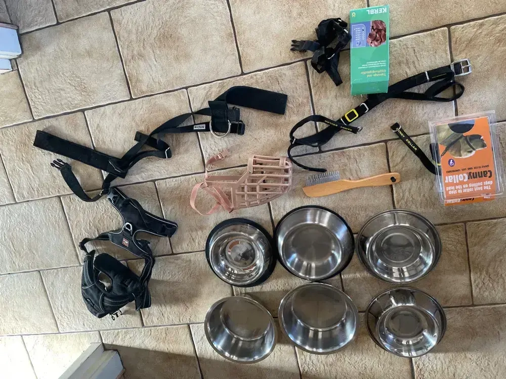 Zubehör Hund Geschirr 