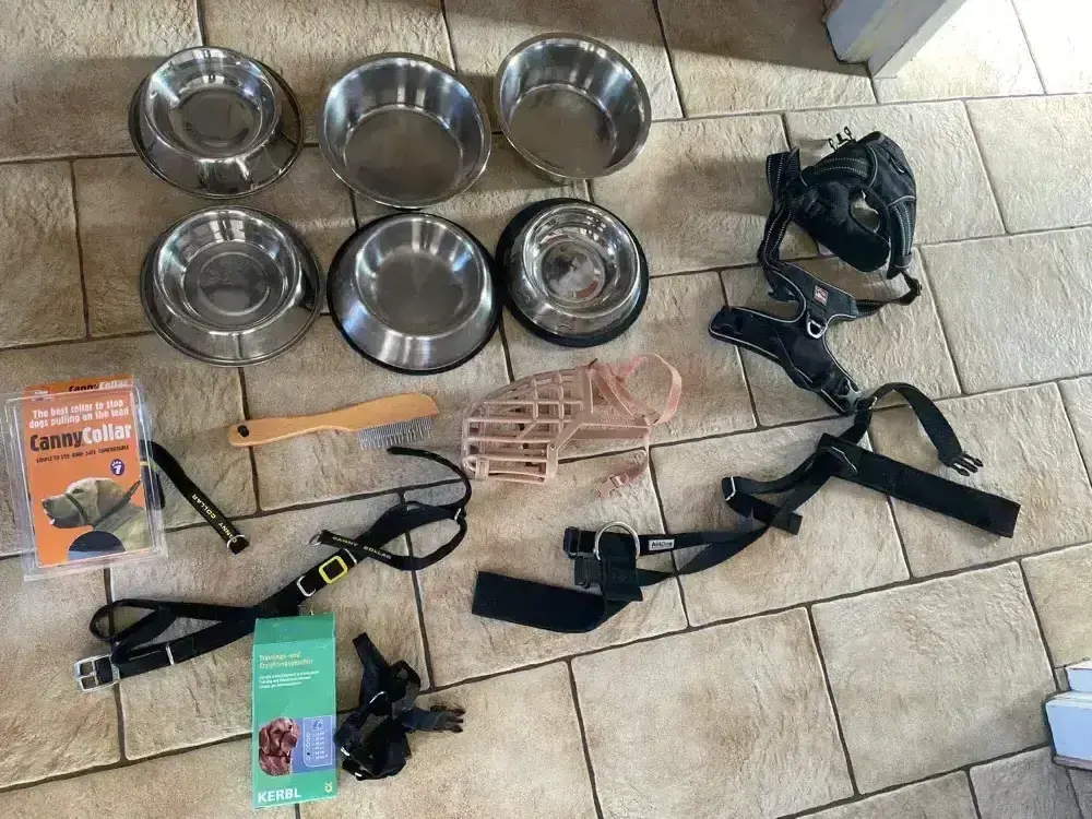 Zubehör Hund Geschirr 