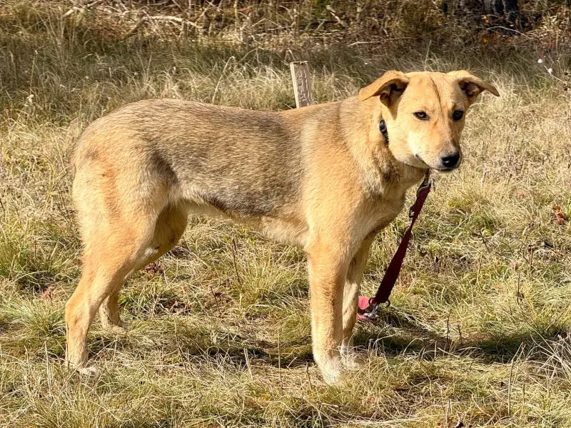 Sinela möchte Teil IHRER Familie werden