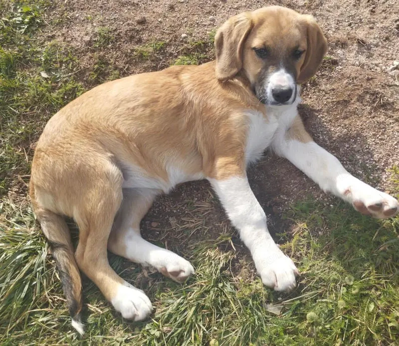 Okrugla wartet auf IHR Zuhause