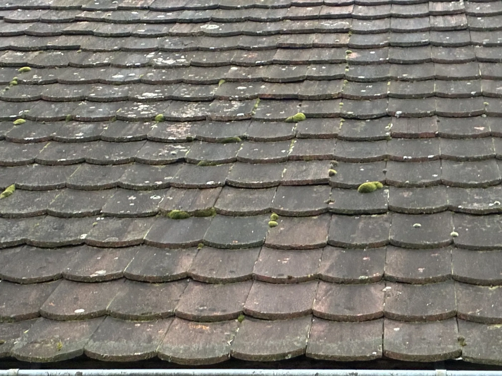 Biberschwanz Dachziegel 