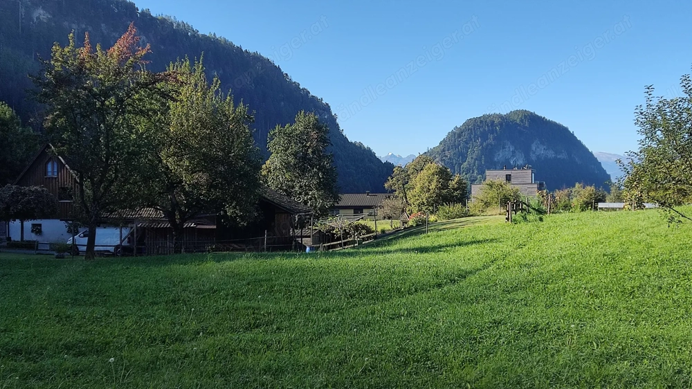 Exklusives Baugrundstück in Götzis   Am Hof