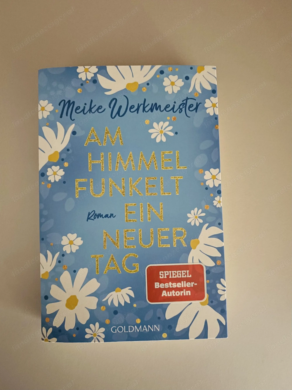 Buch: Am Himmel funkelt ein neuer Tag, Roman