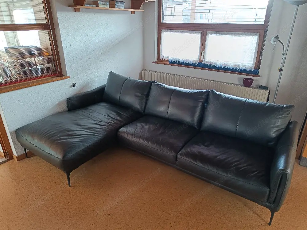 Leder-Sofa zu verkaufen (2,70 m x 1,60 m)