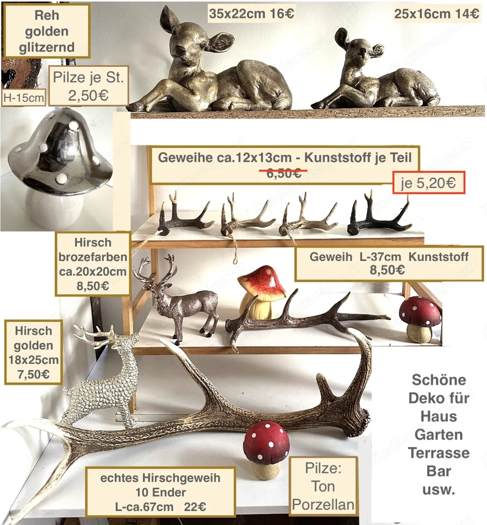 Geweih 10 Ender Reh Hirsch Pilze ab 1,50