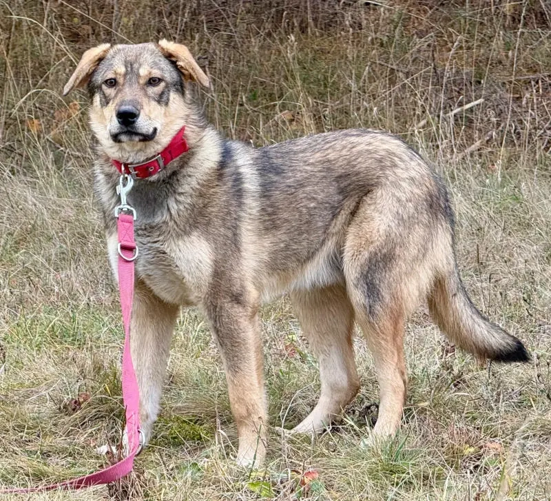 Sossy sucht kuscheliges Plätzchen bei IHNEN