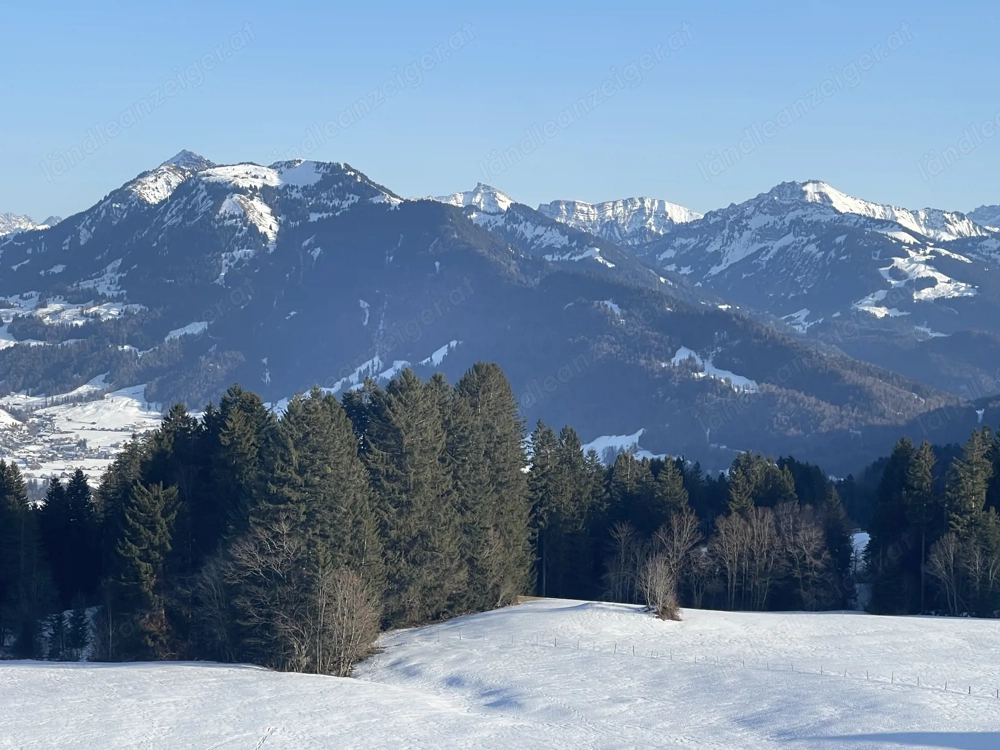 Wir suchen ein neues Zuhause in Voralberg und wollen uns gern hier verwurzeln!