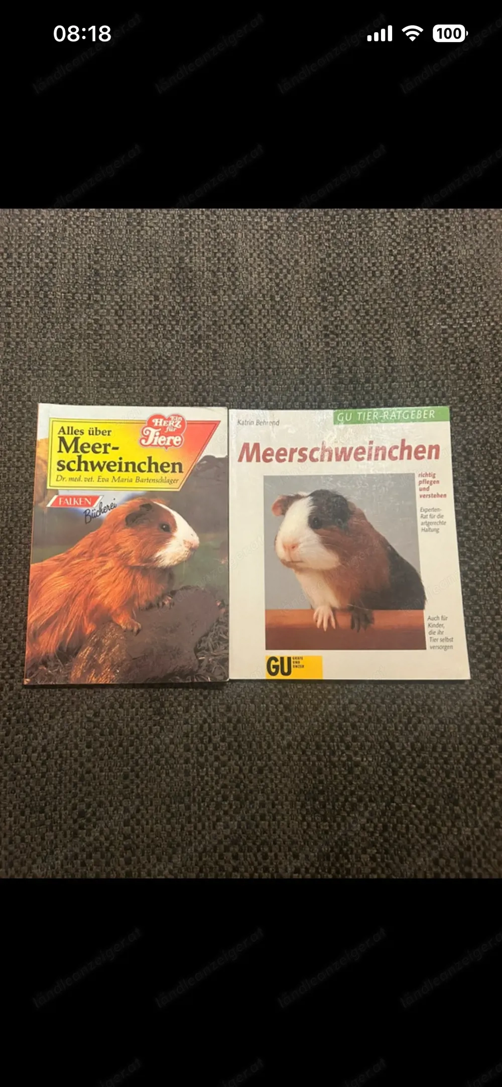 Meerschweinchen, 2 Ratgeber