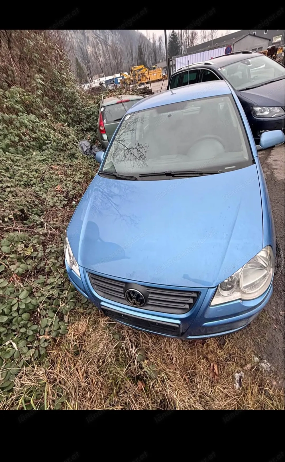 Volkswagen Polo 2007