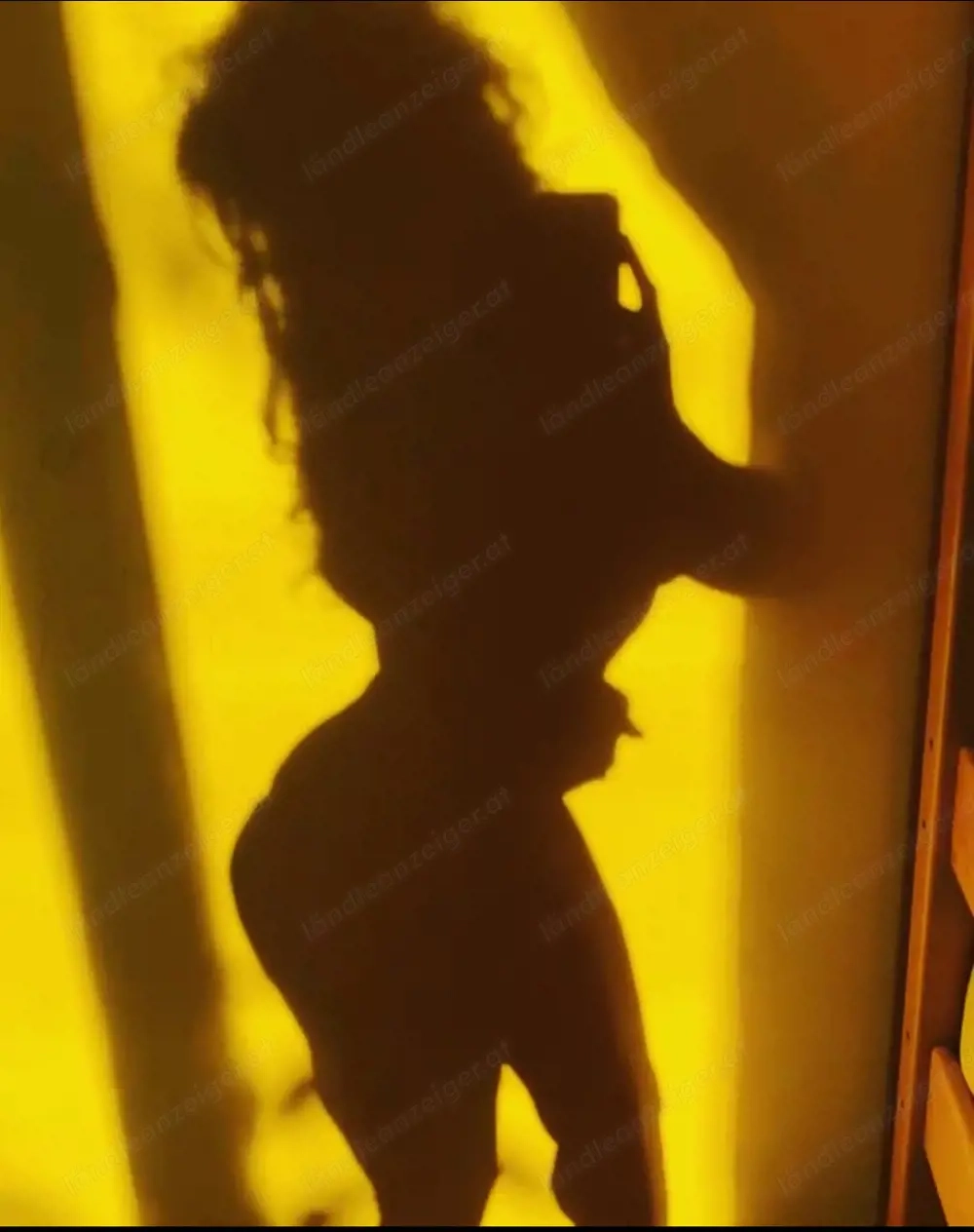 Ich bringe dir das Tanzen von Grund auf bei 