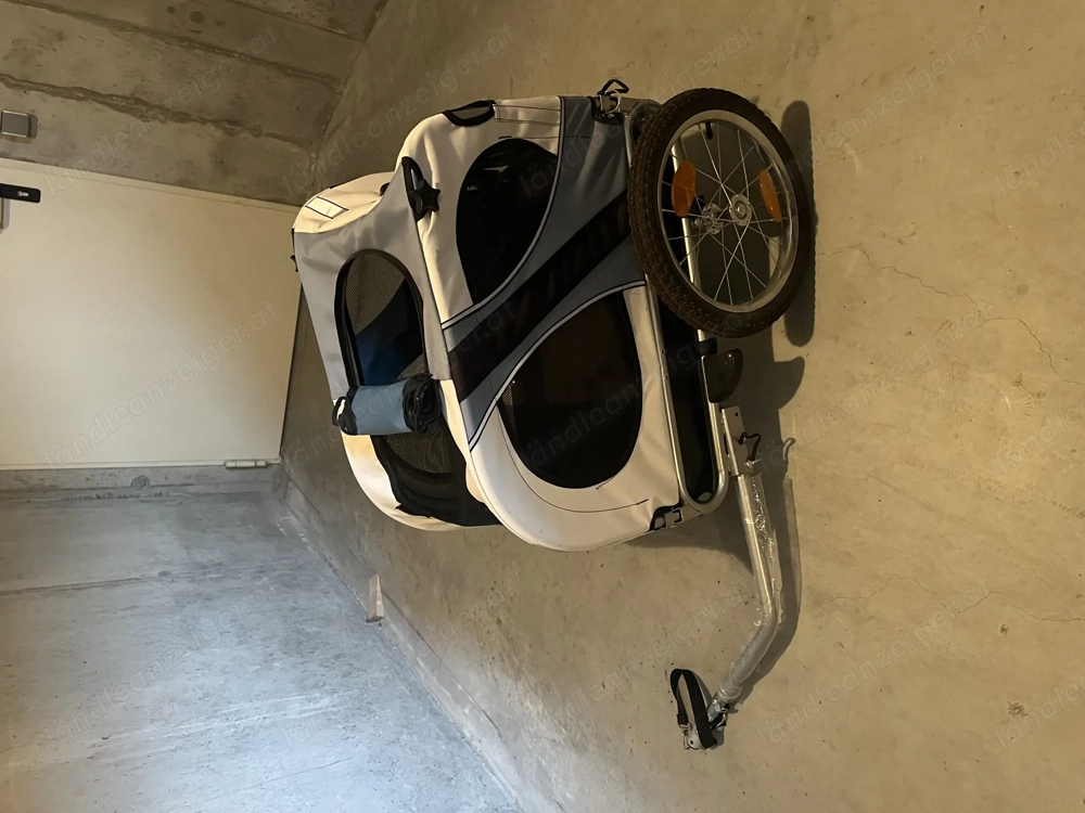 Hunde-Kiki zu verkaufen ANI-ONE 