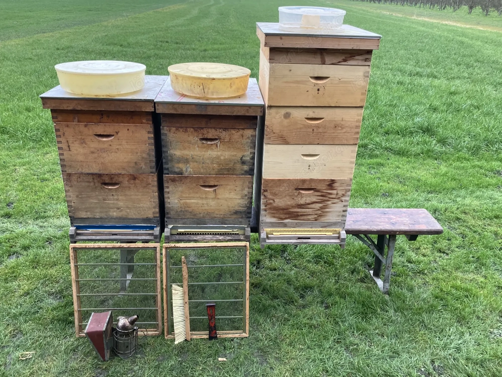 Bienen Beuten Zander