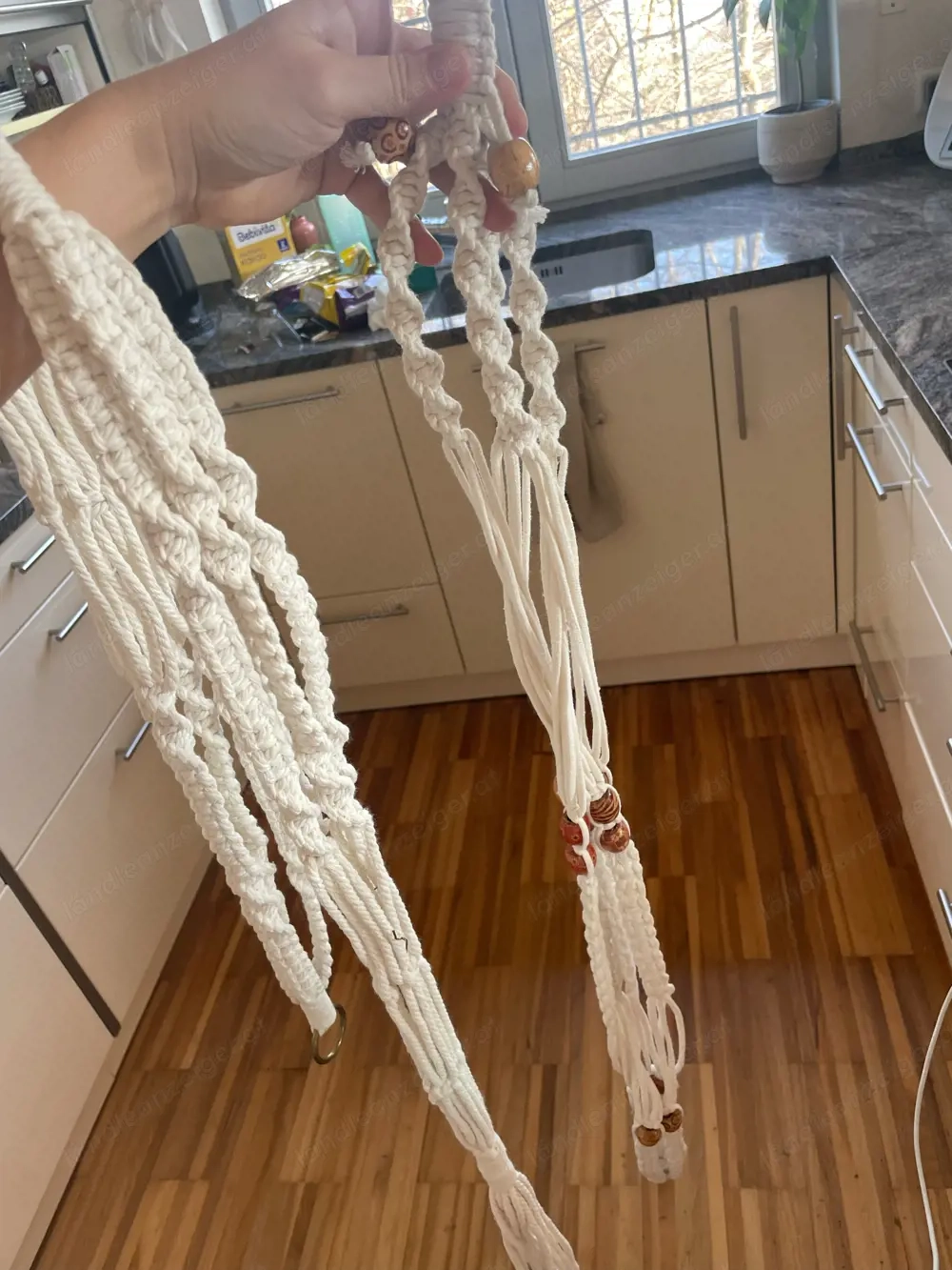 Pflanzen Hängeampel