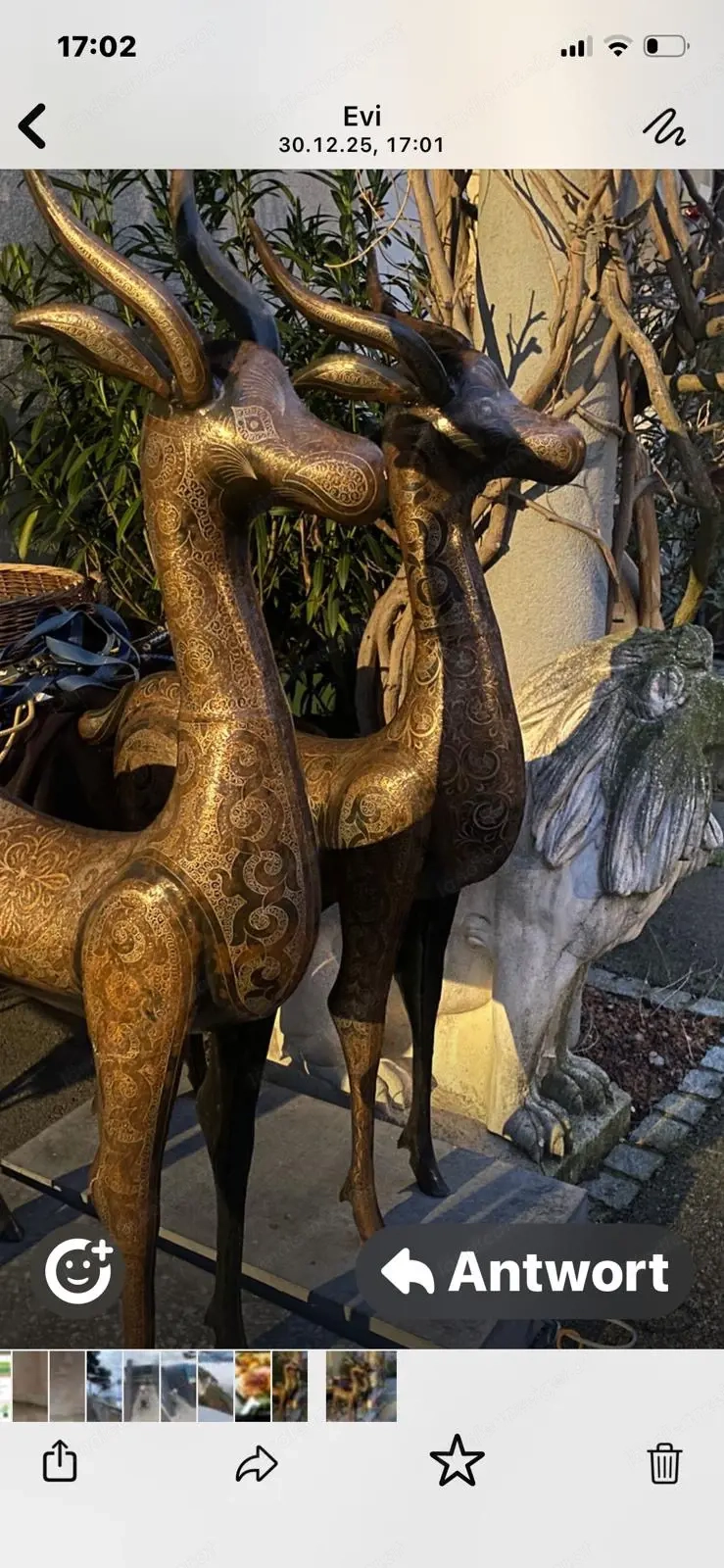 Antilopen Lebensgross