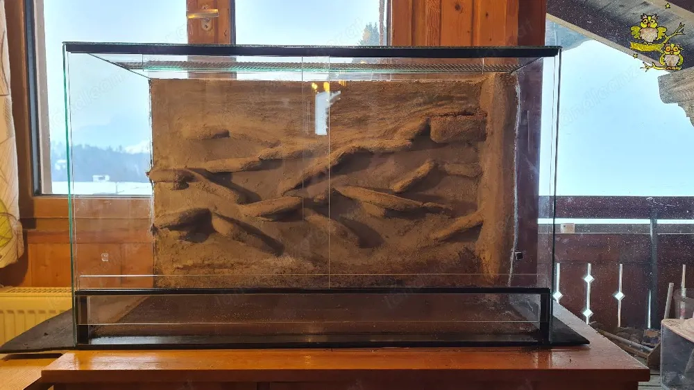 Terrarium 80 40 50cm