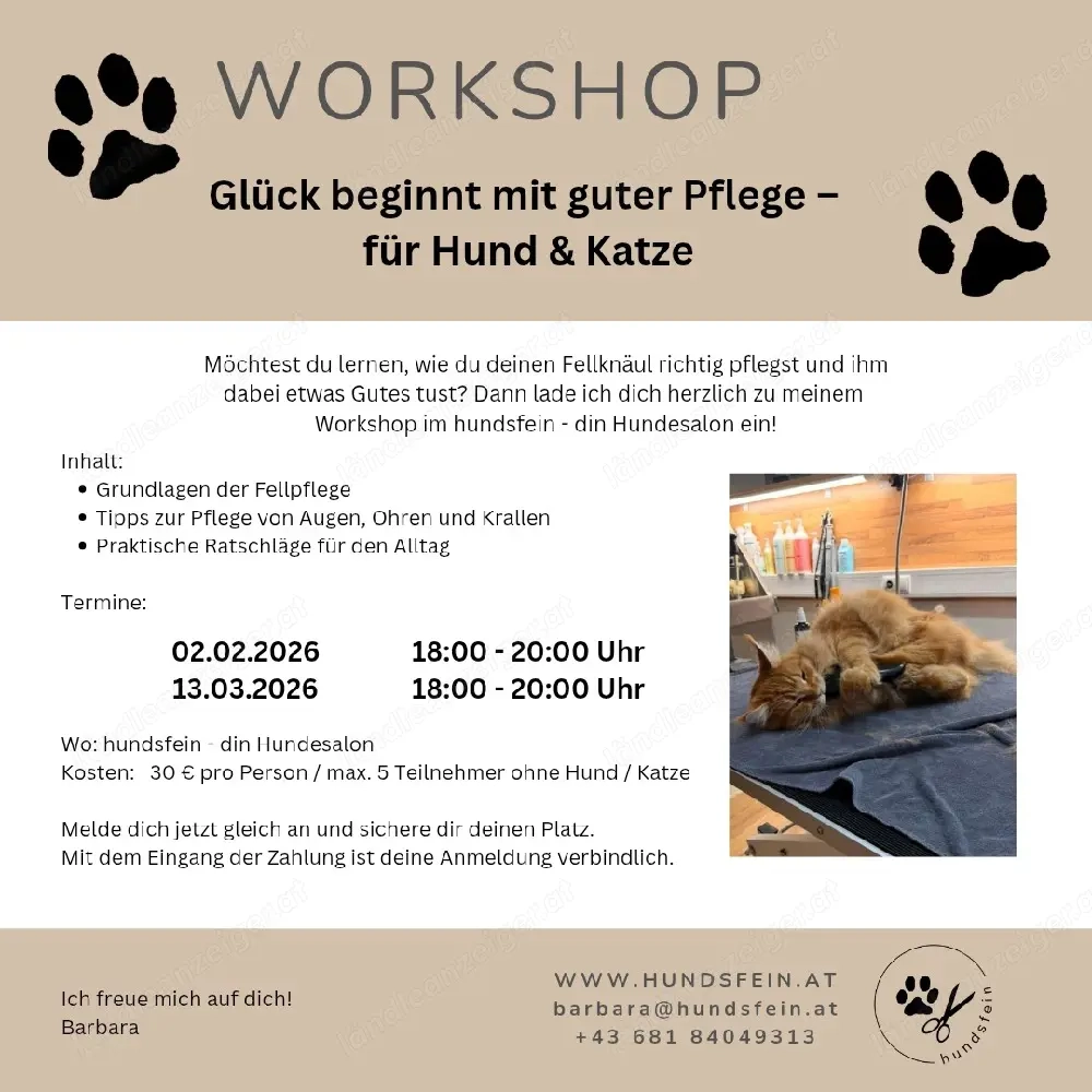 Workshop - Fellpflege für daheim