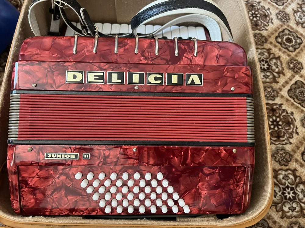 Ziehharmonika Delicia Junior