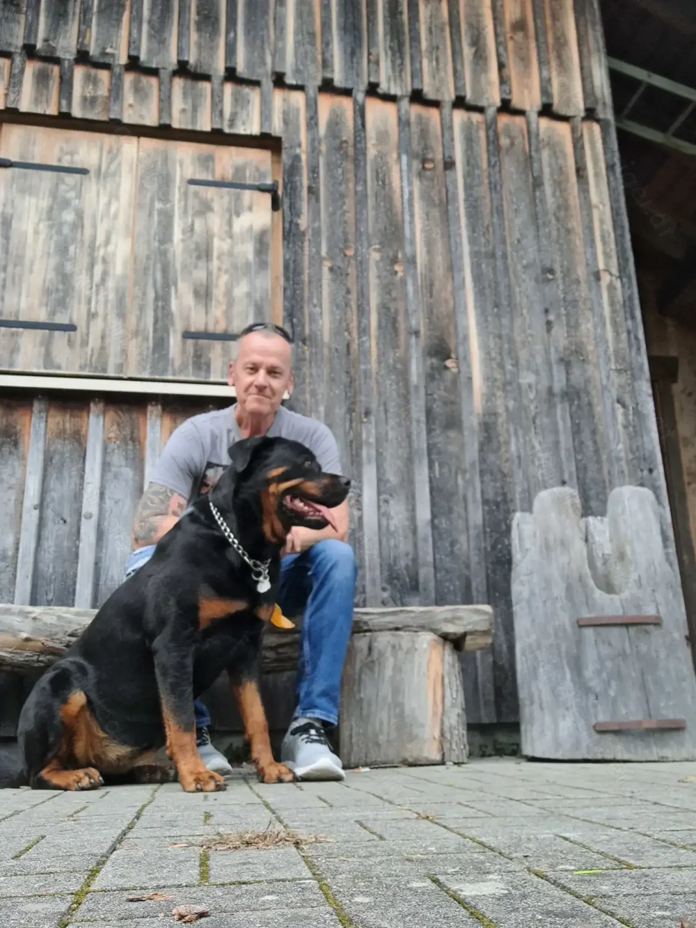 Hundetraining mit Peter 