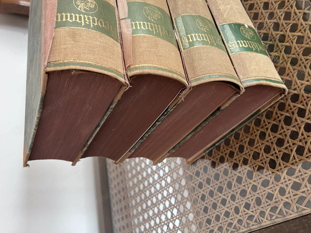 Brockhaus Handbuch des Wissens 1924