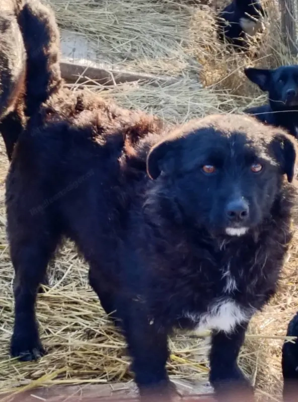 Palichitza wünscht sich Teil IHRER Familie zu sein