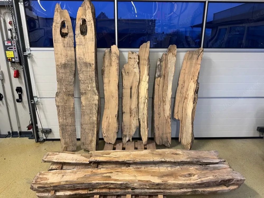 Bodensee Schwemmholz aufgeschnitte 50 mm Längen 220 cm und 120 cm In Halle 5 Jahre getrocknet