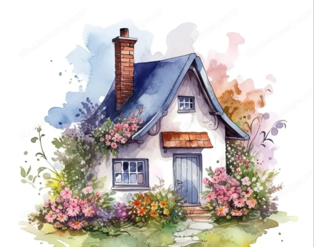 Suchen ein neues Zuhause 