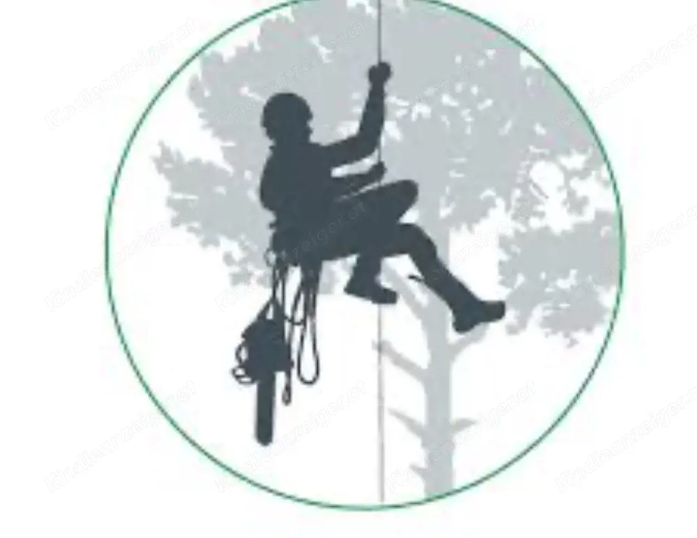 Baumrückschnitte Baumfällung Rodungen Grundstück Neu anlegen, Heckenschitte 