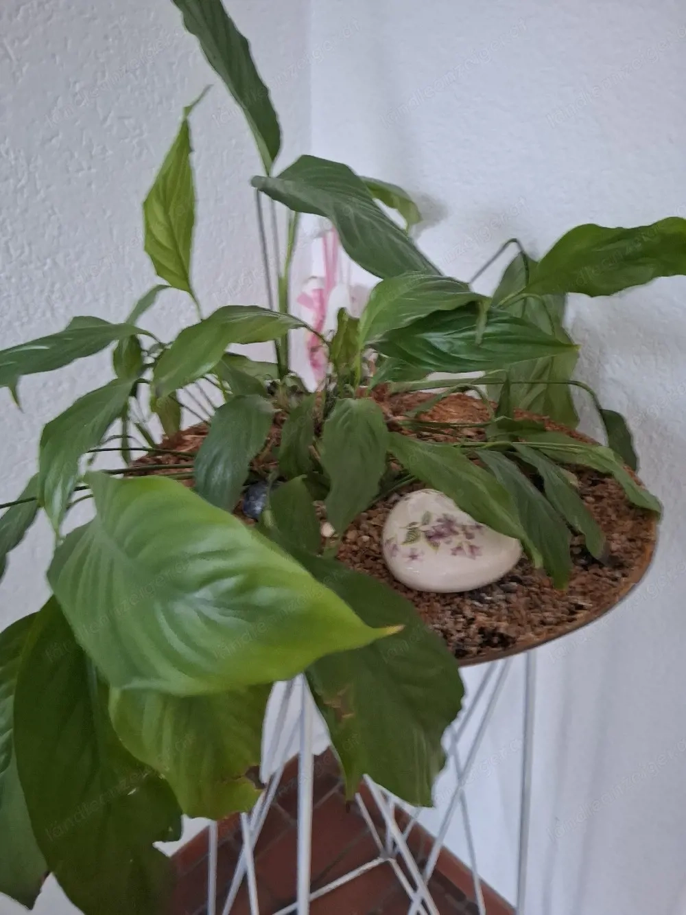 Blumenstock mit Ständer