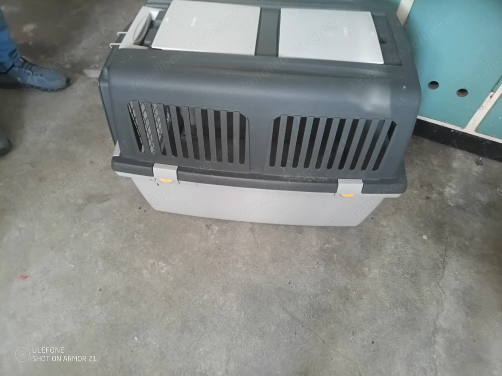 Hundetransportbox