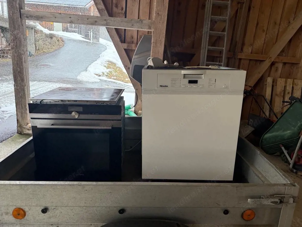 Geschierrspüler, Backrohr und Herdplatte