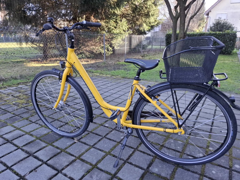 Damen Fahrrad 