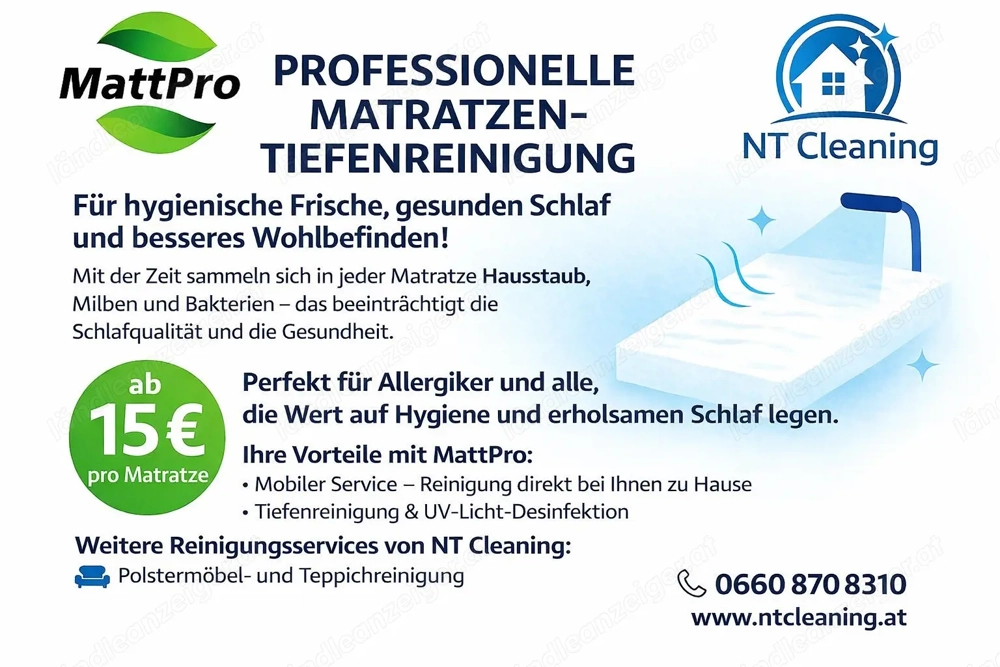 Professionelle Reinigung 