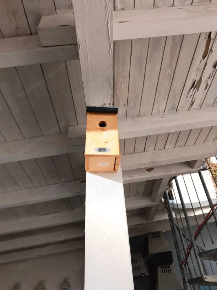 Nistkasten Vögel Neu.