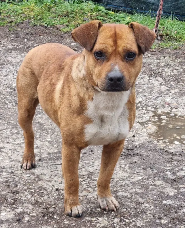 Meddo möchte Teil IHRER Familie werden