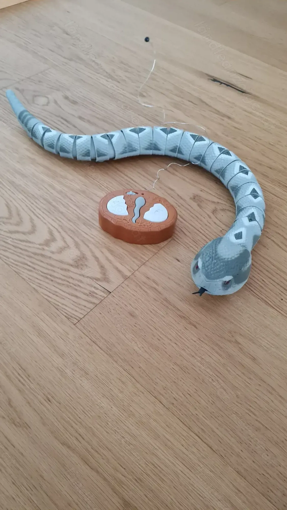 ferngesteuerte Schlange