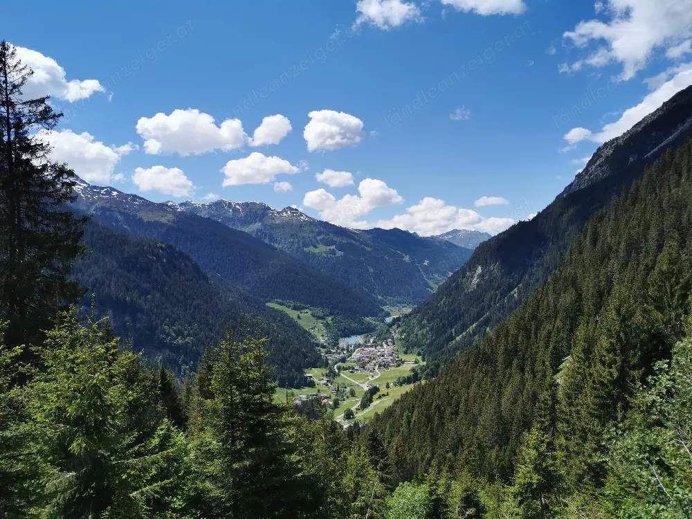 Suchen dringend 3 Zi. Whg im Montafon 