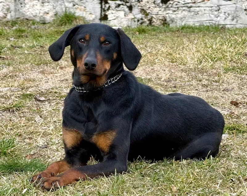 Selly sucht aktive Menschen