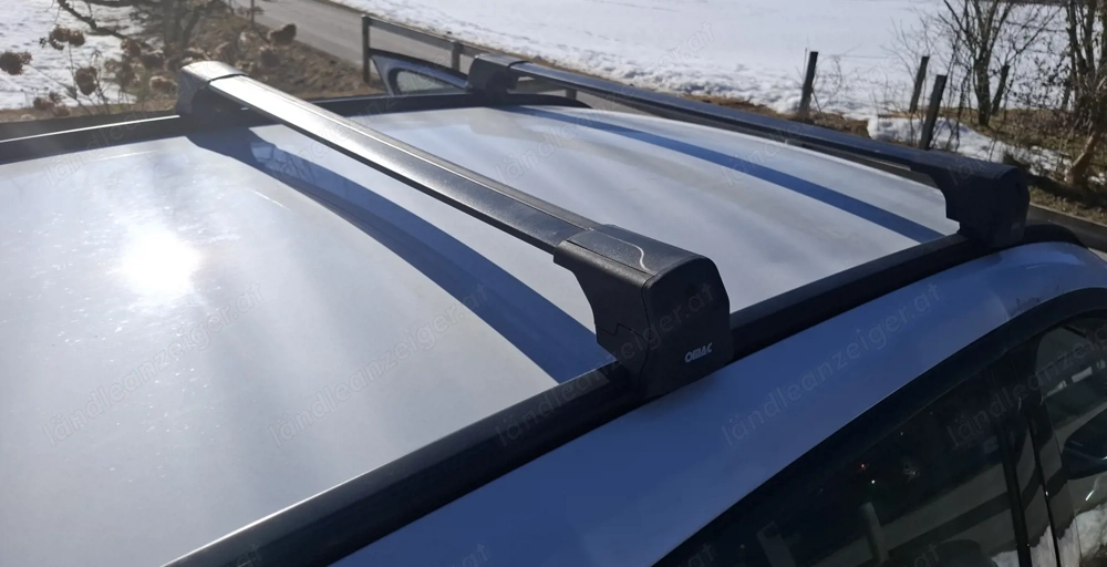 Dachträger für BMW X1