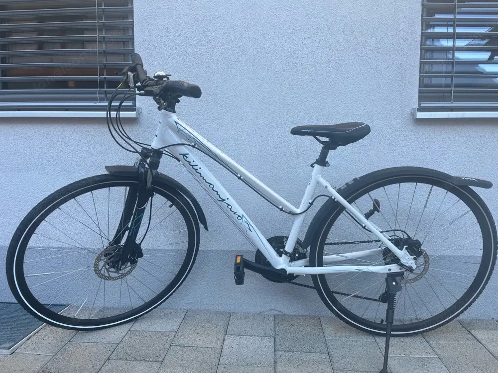 Fahrrad für Damen o. Mädchen