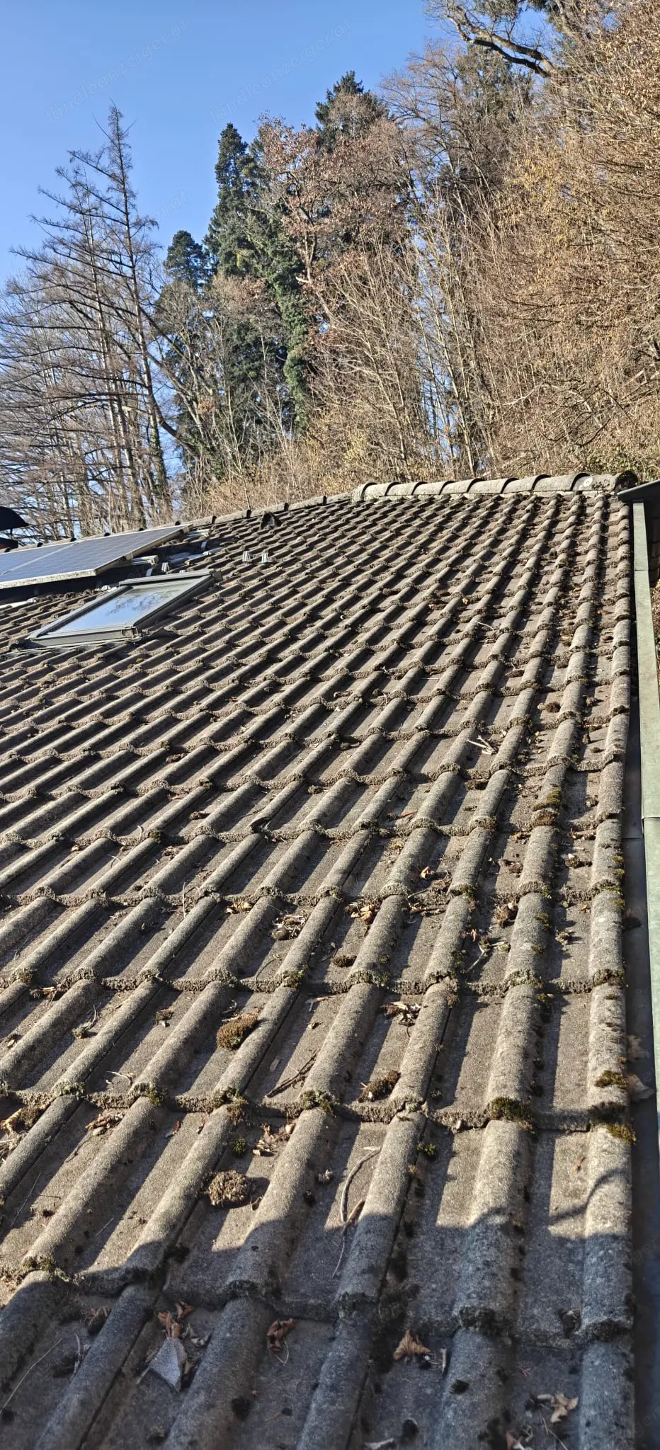 Dachziegel zu verschenken