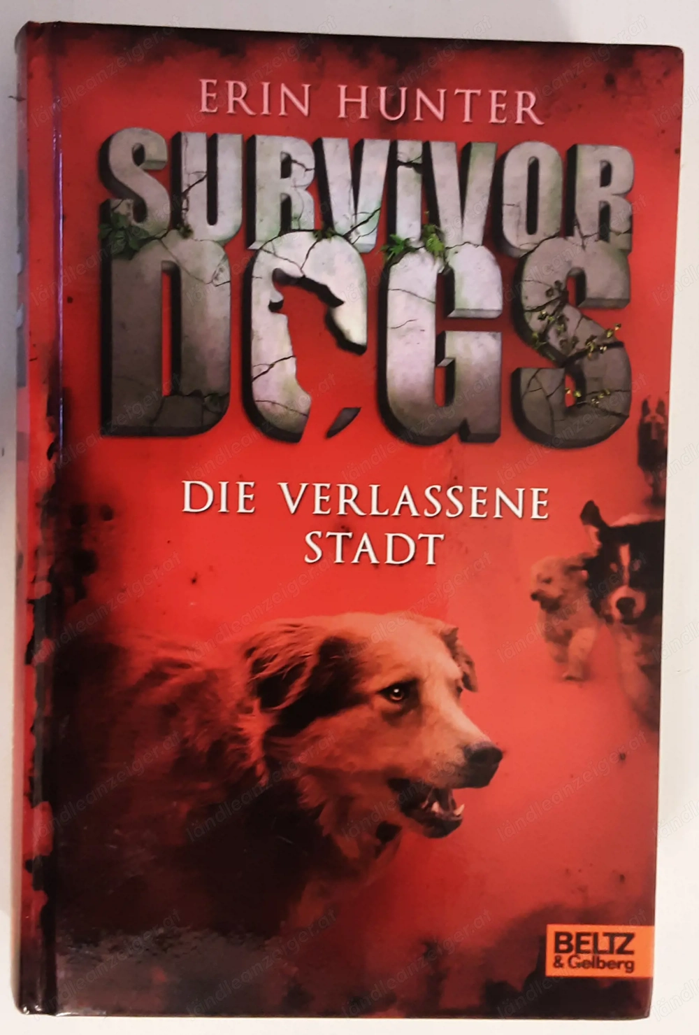 Buch: Survivor Dogs  -  Die verlassene Stadt  Band 1