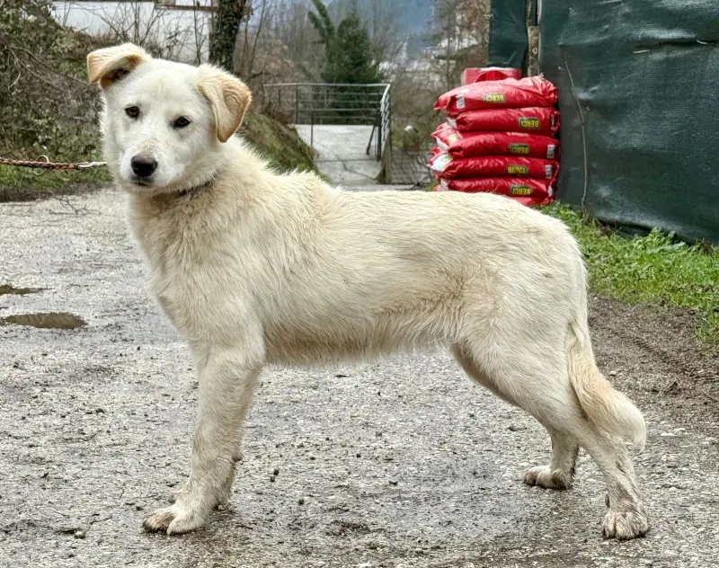 Clara freut sich auf IHRE Familie