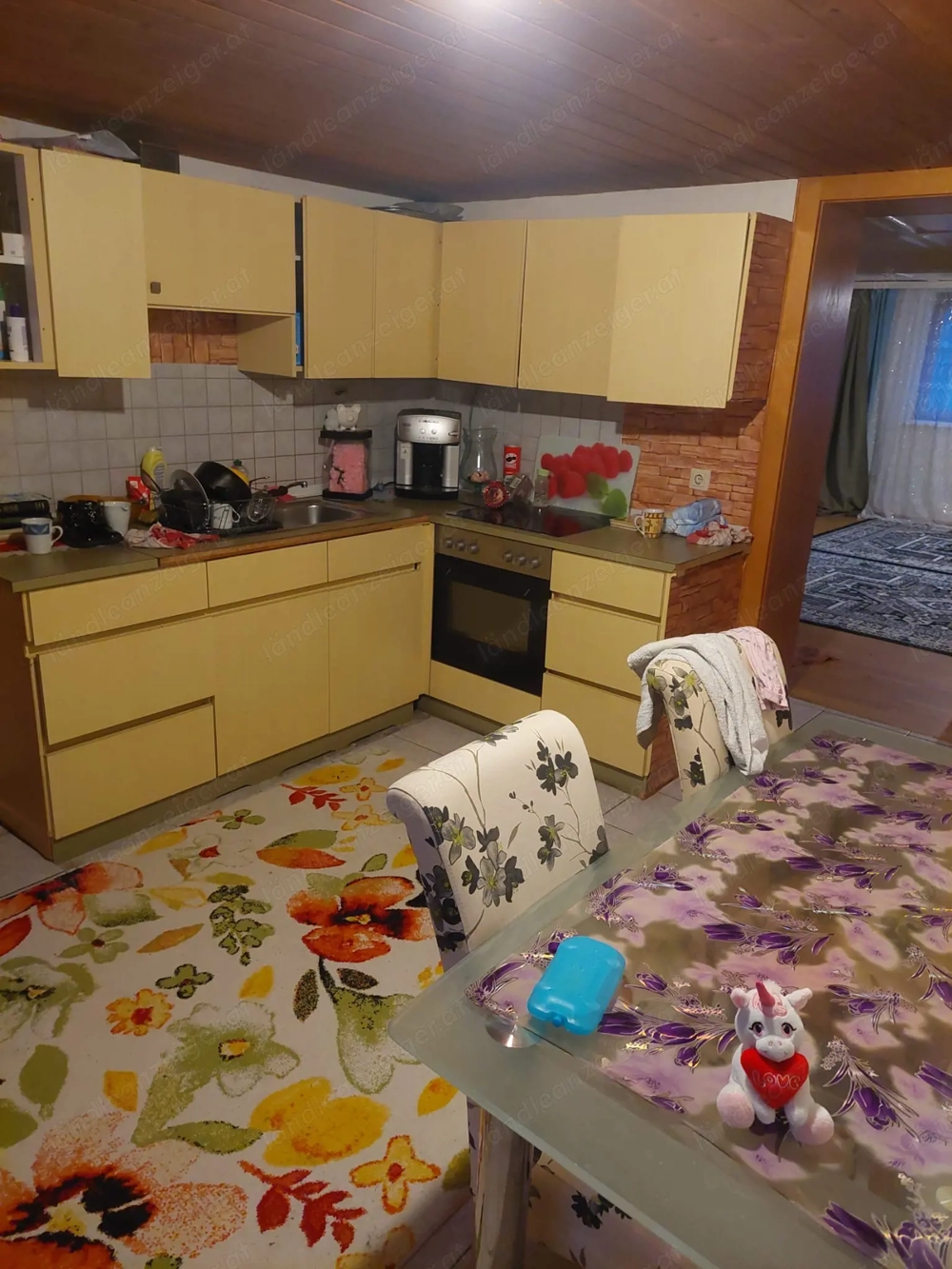 4 Zimmerwohnung in Nenzing