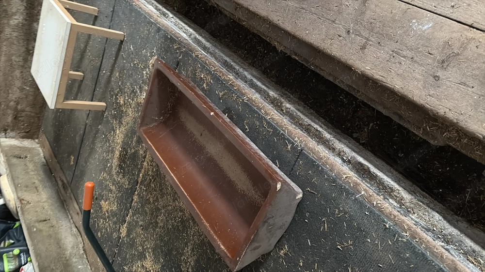 Futtertrog für Schweine 