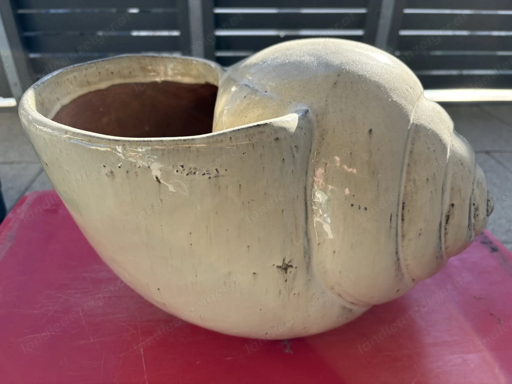 MuschelBlumenTopf !!!