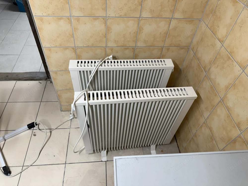 Elektroheizkörper 1000 W mit Speckstein-Wärmespeicher   kompakt & mobil