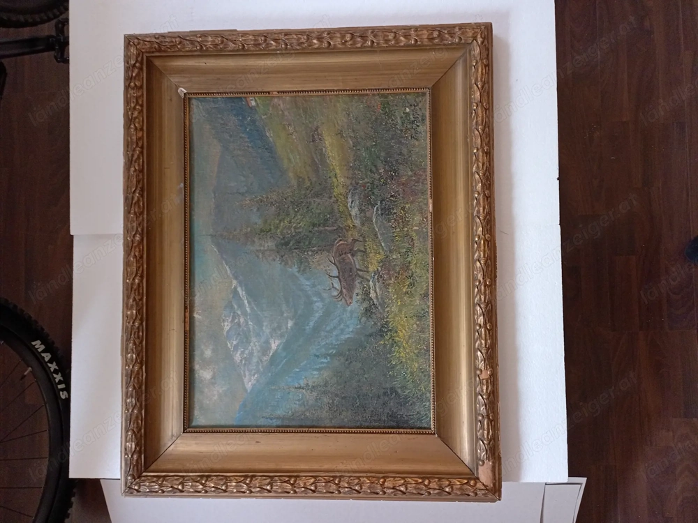 Hirsch in Alpenlandschaft