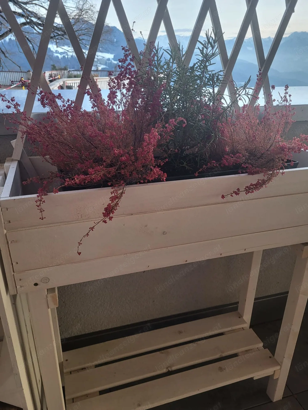 Mini-Hochbeete mit Rankgerüst (2 Stück weiß)